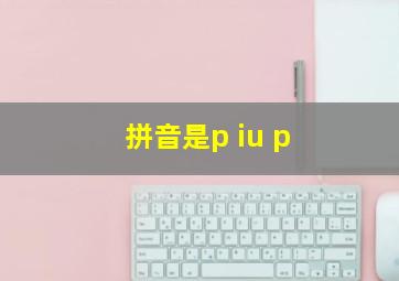 拼音是p iu p